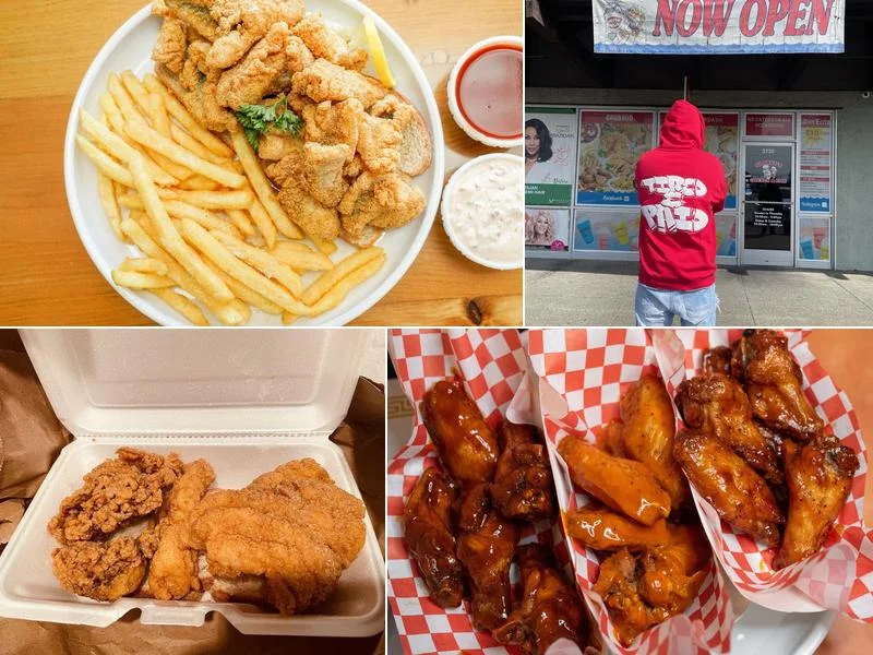 Sharky's Chicken and Fish business photo