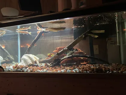 Vallejo Aquarium, business photo 2