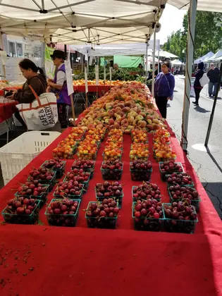Vallejo Farmers' Market, business photo 3