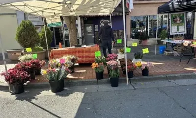 Vallejo Farmers' Market, business photo 1