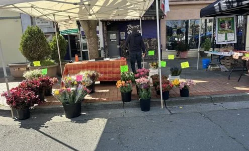 Vallejo Farmers' Market business photo