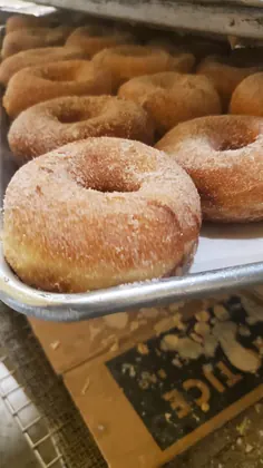 Vallejo Great Donuts & Cafe, business photo 4